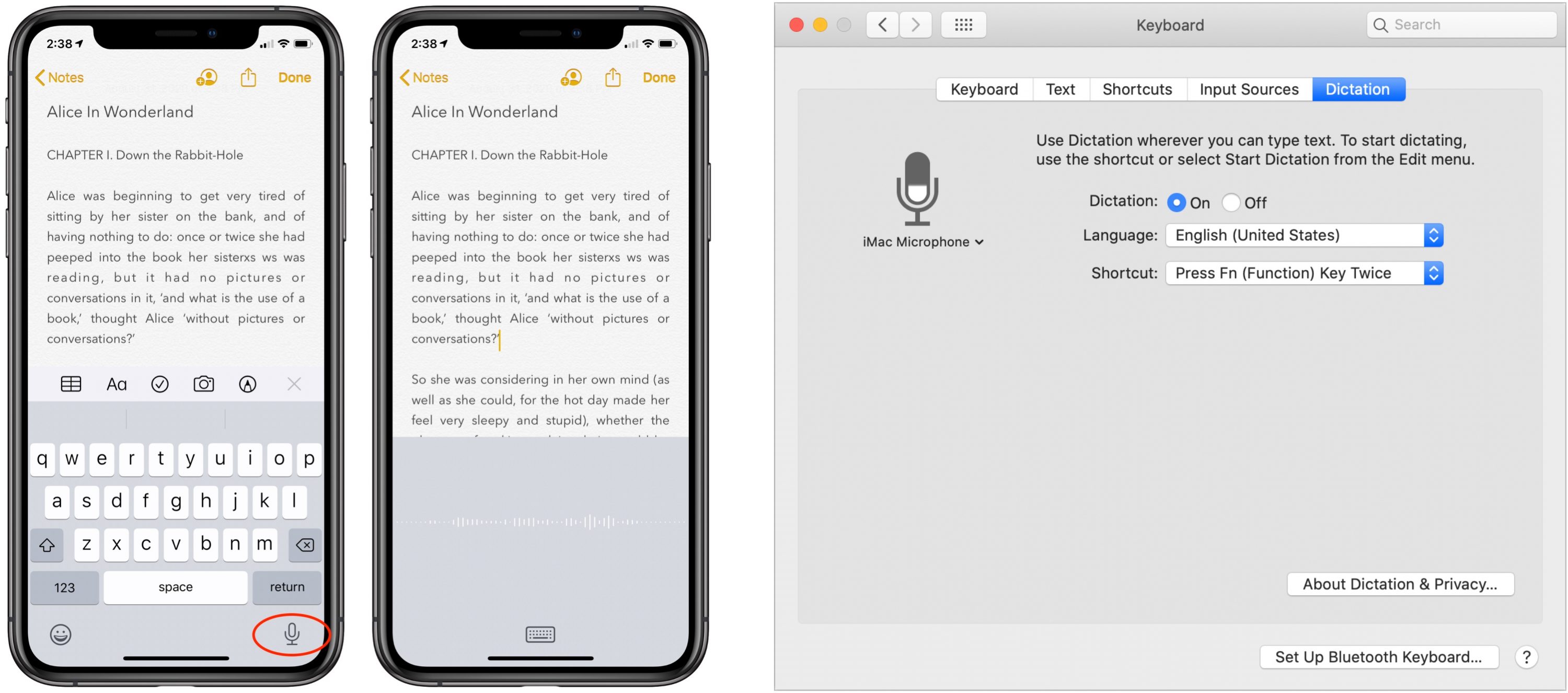Voice dictation app for mac